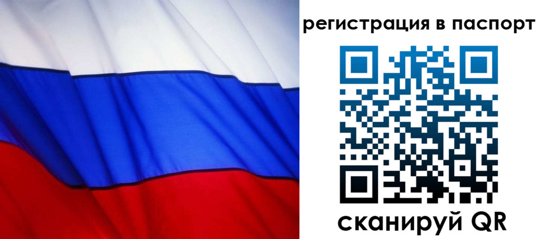 прописка 2025 в Гвардейске